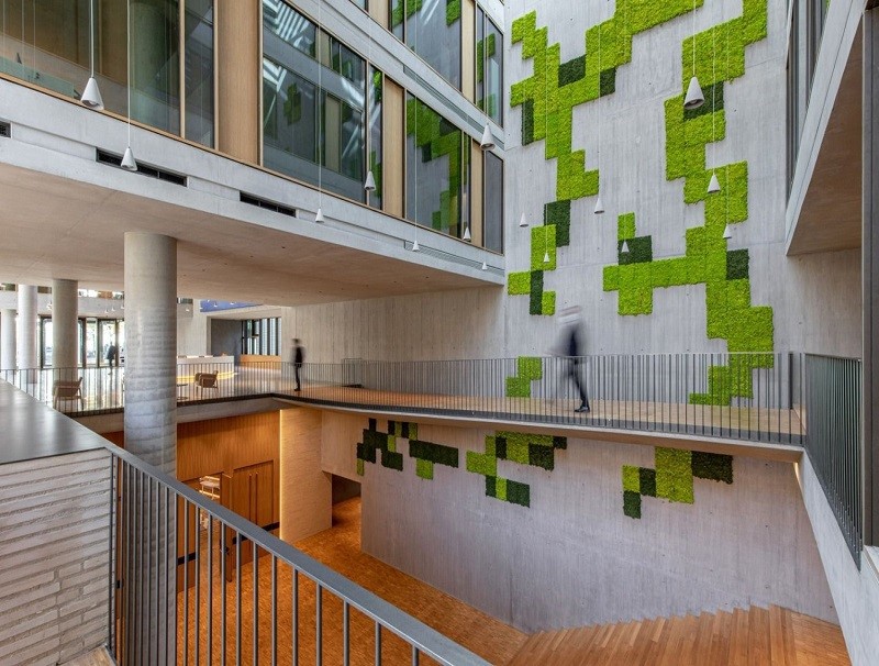 Artificial Moss Sheet for Office building lobby Artificial Moss Sheet for Office building lobby