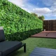 Muro verde artificial