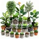 Plantas artificiales en macetas